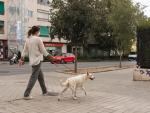 Una mujer pasea a su perro por las calles de Granada en una foto de archivo.