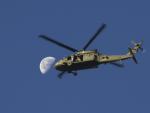 Un helic&oacute;ptero 'UH-60 Blackhawk' en la base conjunta Lewis-McChord, en EEUU.