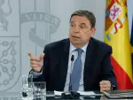 El ministro de Agricultura, Pesca y Alimentaci&oacute;n, Luis Planas, durante la rueda de prensa posterior al Consejo de Ministros.