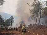 Brigadas forestales contin&uacute;an con los trabajos de extinci&oacute;n del incendio de Las Hurdes y Sierra de Gata.