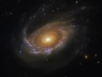 Galaxia medusa JW39