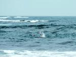 Aumenta a 29 las personas que perdieron la vida por ahogamiento en Canarias en los primeros cinco meses de 2023