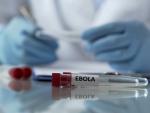 Cuál es la tasa de mortalidad a causa del ébola: un nuevo posible caso en Euskadi