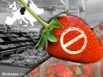 Boicot a la fresa de Huelva