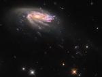 Galaxia medusa JO206