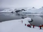 Actividades para conocer de cerca el asombroso entorno de la Antártida.