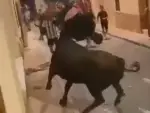 Joven de 19 años ha sido ingresado con cuatro cornadas en Castalla (Alicante) tras ser envestido por un toro.