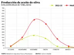 Evolución de la producción de aceite de oliva este año