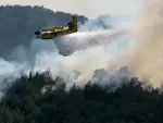 Un avión de extinción de incendios opera en el bosque de Dadia.