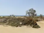 Playa del núcleo poblacional de Balerma, en El Ejido.