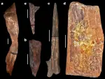 Los arqueólogos encontraron cinco objetos de madera modificados y un sexto sin aparentes cambios.