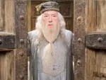 Tras la muerte de Richard Harris, el actor angloirland&eacute;s asumi&oacute; el rol de Dumbledore durante las siguientes cinco pel&iacute;culas de la saga, de 'Harry Potter y el prisionero de Azkab&aacute;n' (2004) a la segunda entrega de 'Harry Potter y las reliquias de la Muerte' (2011). Disc&iacute;pulo de Laurence Olivier e int&eacute;rprete sobrado de prestigio cr&iacute;tico, Gambon supo dotar a su Dumbledore de severidad y humanidad a partes iguales... sin dejar de gastar bromas a sus compa&ntilde;eros de reparto (Daniel Radcliffe sufri&oacute; alguna que otra) y neg&aacute;ndose hasta el final a leer las novelas de J. K. Rowling. Gambon falleci&oacute; el 28 de septiembre de 2023.