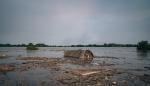 Inundaciones en la región de Jersón, en el sur de Ucrania, tras la destrucción de la presa de Kajovka
