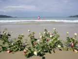 Playa de luto. Madeleine Chaplain, una adolescente de 14 años, camina por la playa de Patong en Phuket, Tailandia, en la que murieron varios de sus familiares durante el maremoto de hace un año, y en la que se han puesto flores para recordarlos.