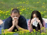 Alrededor del 20% de la población española sufre alergia.