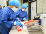 Muestras del virus de la gripe porcina en un laboratorio.