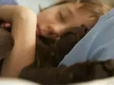 Un niño duerme abrazado a su perro.