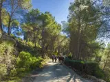 Senderismo Málaga Montes turismo interior