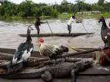 Foto de Pascal Maitre sobre la vida en torno al río Congo. El bote, de la empresa Maravillos Servicios Jesucristo, permite cruzar de una a otra orilla