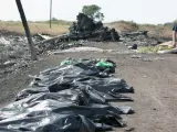 Algunos de los cadáveres de los fallecidos tras ser derribado el Boeing 777 de Malaysia Airlines, del vuelo MH17, en Ucrania.