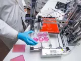 Científicos de la Universidad Carlos III de Madrid, del CIEMAT, del Hospital General Universitario Gregorio Marañón y en colaboración con la empresa BioDan Group presentan un prototipo de bioimpresora 3D capaz de crear piel humana totalmente funcional.