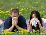 La alergia al polen es la más frecuente en España.