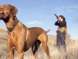 Imagen de archivo de un cazador junto a su perro de caza.