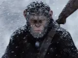 Fotograma de la tercera entrega de la nueva saga de los simios.