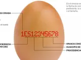 Todos los huevos llevan un c&oacute;digo marcado en la c&aacute;scara, &iquest;pero qu&eacute; significa?
