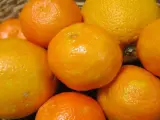 Naranjas, mandarinas, cítricos