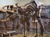 Reconstrucción del esqueleto de un tiranosaurio (tyrannosaurus rex), en Museo de Historia Natural Carnegie de Pittsburgh, EE UU.