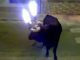 Un toro embolado en una calle de Godella (Valencia).
