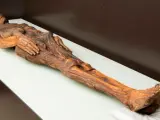 La momia del barranco de Herques en el Museo Arqueológico Nacional.