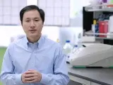 El científico chino He Jiankui durante una entrevista realizada en su laboratorio.