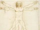 El famoso 'Hombre de Vitruvio' de Leonardo da Vinci.