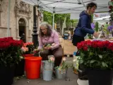Floristas preparando las rosas para la Diada de Sant Jordi.
