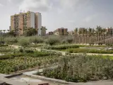 La primera fase del Parque Central de València abarca el 40% de la superficie total del futuro pulmón verde de la ciudad.