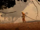 Un bombero lucha contra el incendio en Adelaide, Australia.