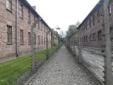 Campo de exterminio de Auschwitz