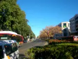 Zonas verdes de la avenida de San Francisco Javier