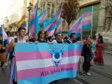 Manifestaci&oacute;n del colectivo trans