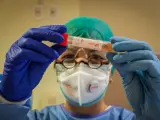 Un profesional sanitario con un traje protector y una máscara de atención médica inspecciona un vial que contiene una muestra en un laboratorio de pruebas de coronavirus Covid-19 en Cremona, Italia.