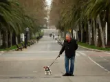 Un hombre pasea a su perro en Barcelona tras decretarse el estado de alarma que restringe la libertad de circulación, con excepciones, como sacar a pasear al perro.