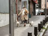 Una mujer camina junto a su perros este martes por una calle madrile&ntilde;a.