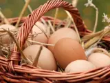 Imagen de recurso de una cesta con huevos crudos.