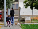 Un padre pasea con su hija y dos perros en Valencia.