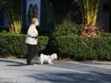 Una persona pasea un perro en plena pandemia del coronavirus.