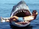 Tiburon Spielberg