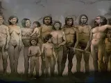 Homo Sapiens y neandertales.