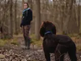 Un perro mira a su dueña durante un paseo.